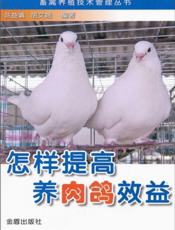 怎样提高养肉鸽效益