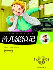 名家推荐世界名著：苦儿流浪记