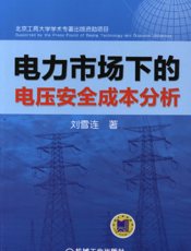 电力市场下的电压安全成本分析