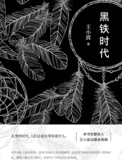 王小波：黑铁时代