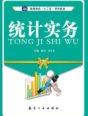统计实务