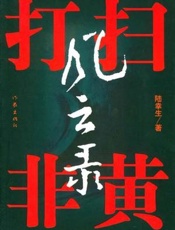 扫黄打非风云录