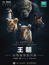 王朝_动物家族的兴衰