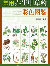 常用养生中草药彩色图鉴