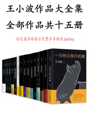 王小波作品大全集