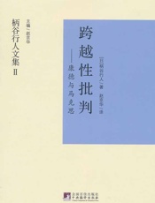 跨越性批判