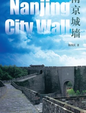 南京城墙 - 杨国庆