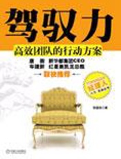 驾驭力：高效团队的行动方案 - 张国良