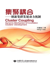 集聚耦合：创新集群发展动力机制