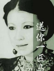 三毛--送你一匹马