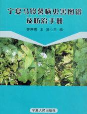 宁夏马铃薯病虫害图谱及防治手册