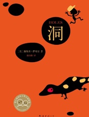 《洞》---路易斯·萨奇尔