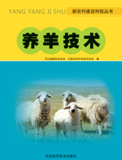 养羊技术