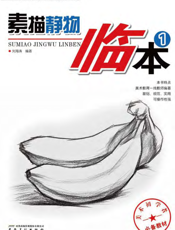 基础美术训练教材：素描静物临本1