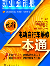 图解电动自行车维修一本通