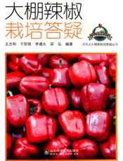 大棚辣椒栽培答疑