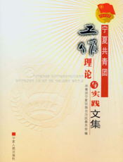 宁夏共青团工作理论与实践文集