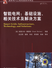 智能电网：基础设施、相关技术及解决方案