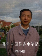 百年中国经济史笔记 - 杨小凯