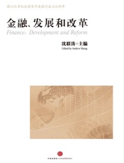 沈联涛-金融、发展和改革