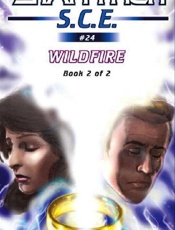 Wildfire (Book 2) - David MacK