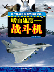 嗜血雄鹰_战斗机