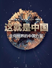 这就是中国：走向世界的中国力量