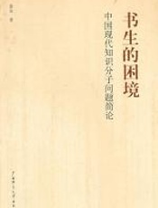书生的困境
