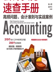 会计实务速查手册——高频问题、会计准则与实战案例 - 袁小勇,袁梦月