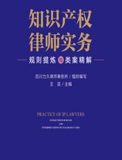 知识产权律师实务：规则提炼与类案精解 - 四川力久律师事务所组织,王芸