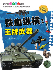 铁血纵横——王牌武器