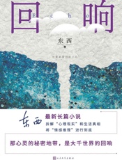 回响-东西