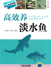 高效养淡水鱼