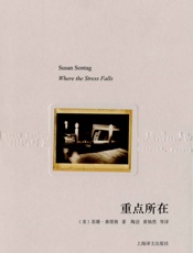 重点所在 (苏珊·桑塔格文集) - 苏珊·桑塔格(Susan Sontag)