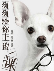 狗狗给你上的一课——20个高效工作小诀窍