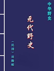 元代野史
