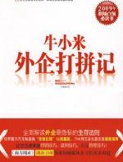 牛小米外企打拼记：2009职场白领必读 - 洪湖浪