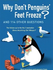 Why Don't Penguins' Feet Freeze - New Scientist