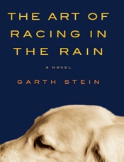 Art of Racing in the Rain, The - Garth Stein