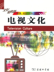 电视文化
