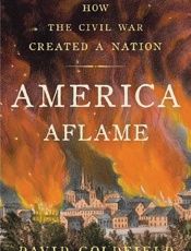 America Aflame - David Goldfield
