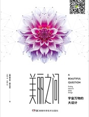 美丽之问：宇宙万物的大设计