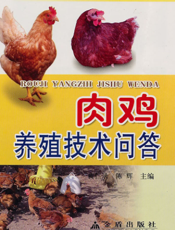 肉鸡养殖技术问答