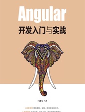 Angular开发入门与实战 - 兰泽军