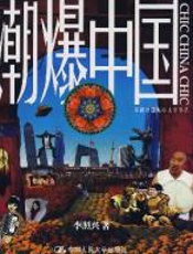 潮爆中国——新新中国城市文化笔记 - 李照兴