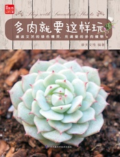 多肉就要这样玩