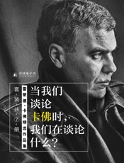 当我们谈论卡佛时，我们在谈论什么