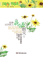 把心灵安放在自然之中