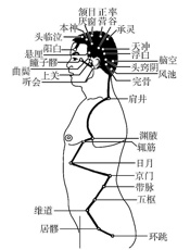全国中医药行业“十三五”规划教材：推拿学