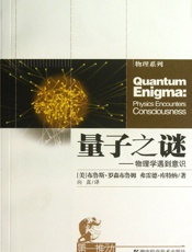 量子之谜-物理学遇到意识